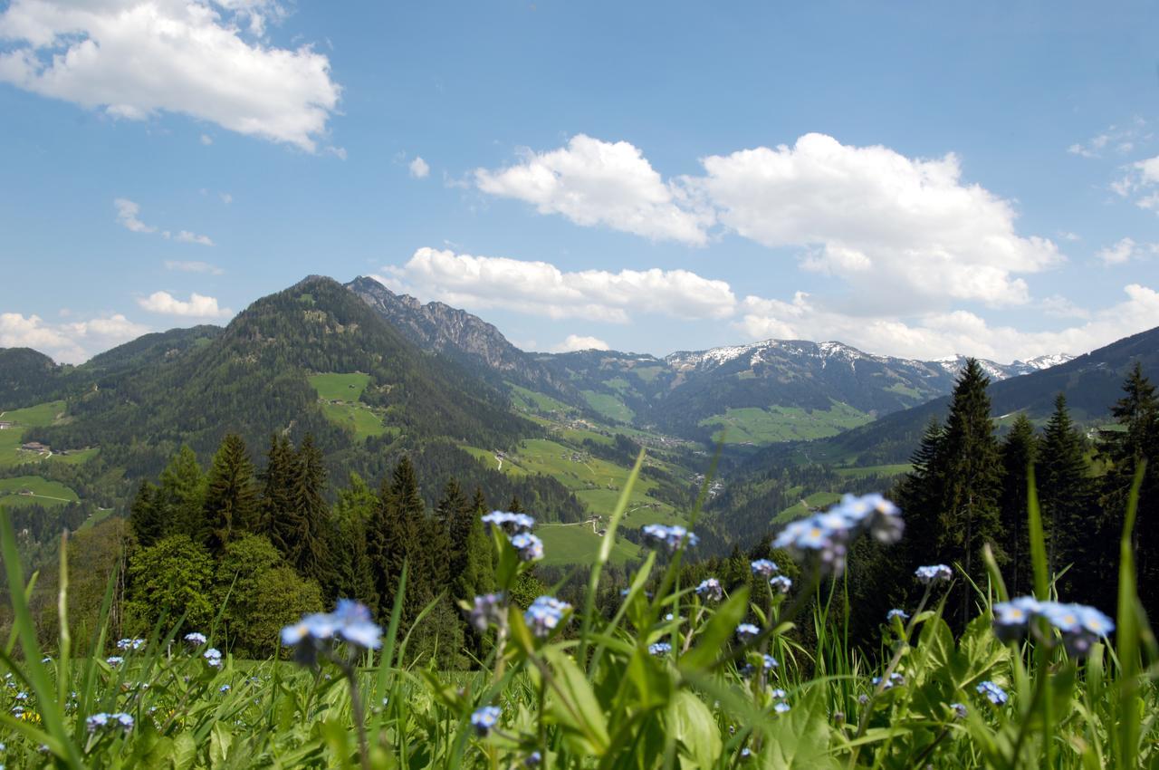 Bergchalet Rauchenhof Reith im Alpbachtal Eksteriør billede